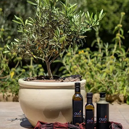 Appia Antica 5* Rome